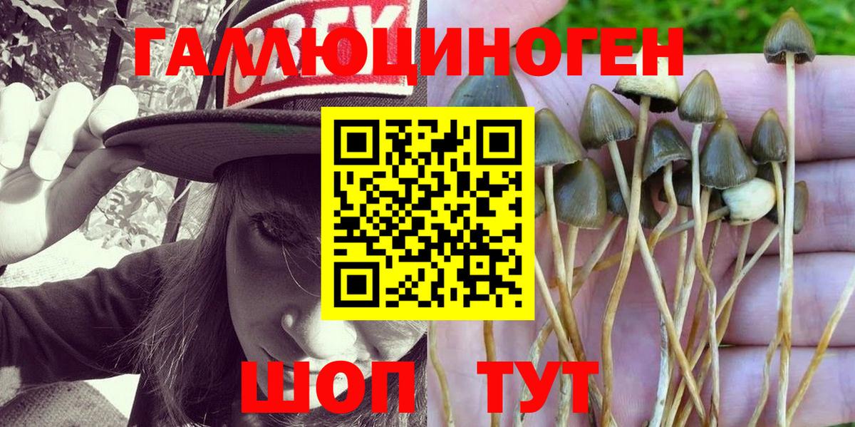 Псилоцибиновые грибы Magic Shrooms  Псилоцибиновые грибы мицелий  Сорочинск  Вход с VPN 